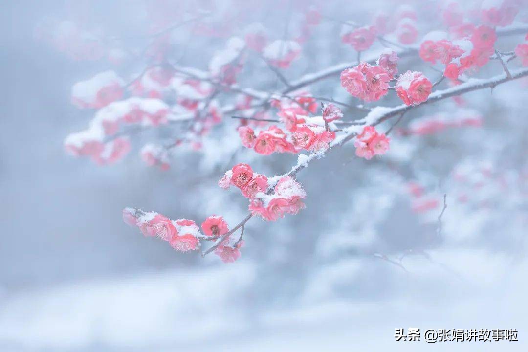 元曲关汉卿小令全集,元曲四大家之首关汉卿的代表作