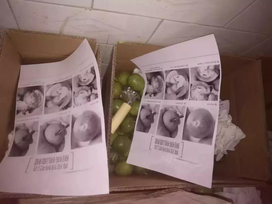 淳化县郭丁村,淳化方里镇固贤乡郭丁村