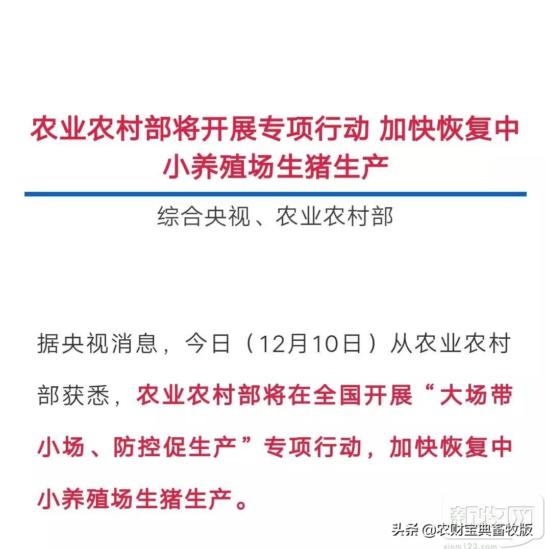 买猪肉看过来,猪场买猪全过程
