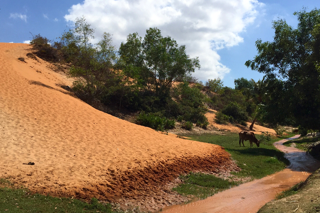 越南美奈,越南美奈之旅