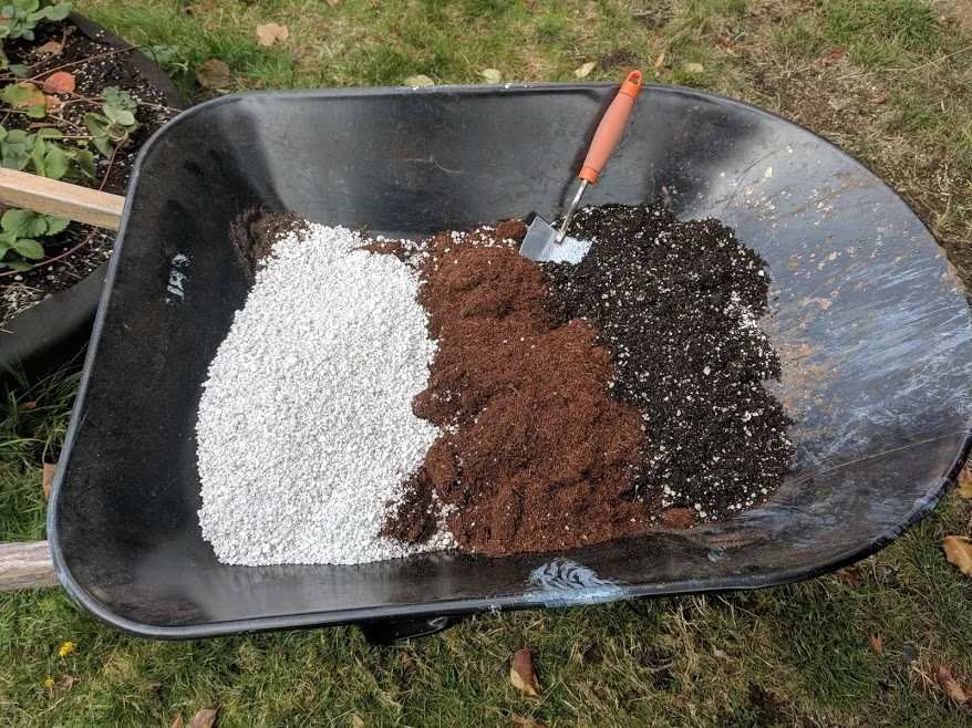 养花的土全用营养土好吗,为什么买的营养土种什么都死