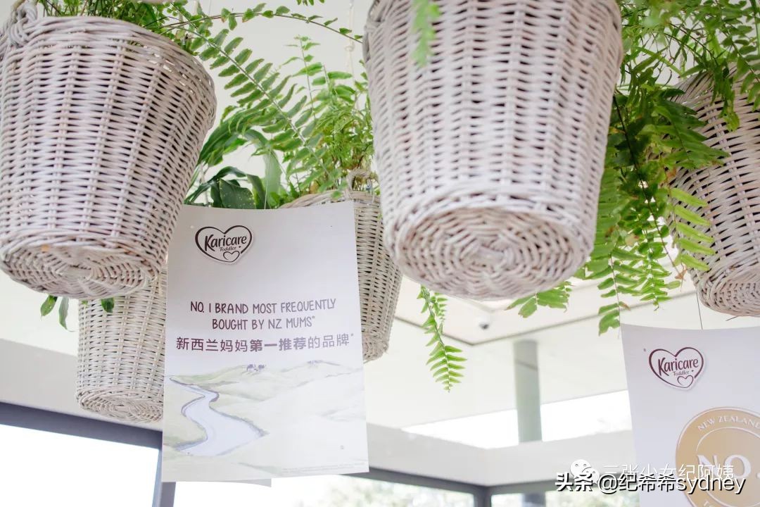 澳洲原装进口奶粉可瑞康,澳洲可瑞康奶粉新包装