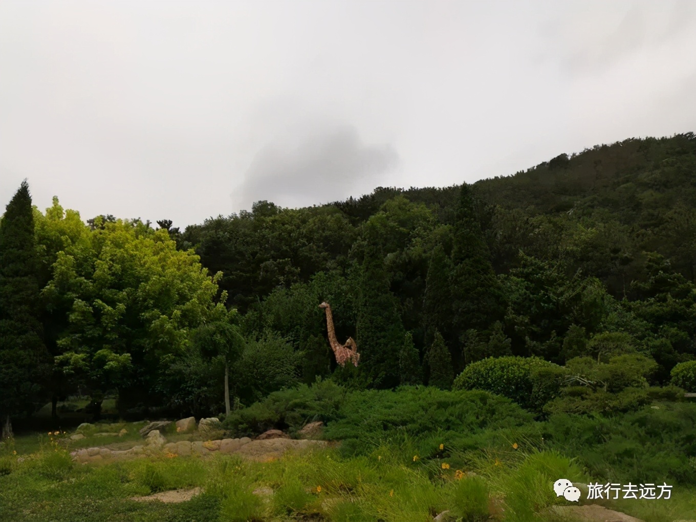 天空之缘17--拾起一段时光（大连）