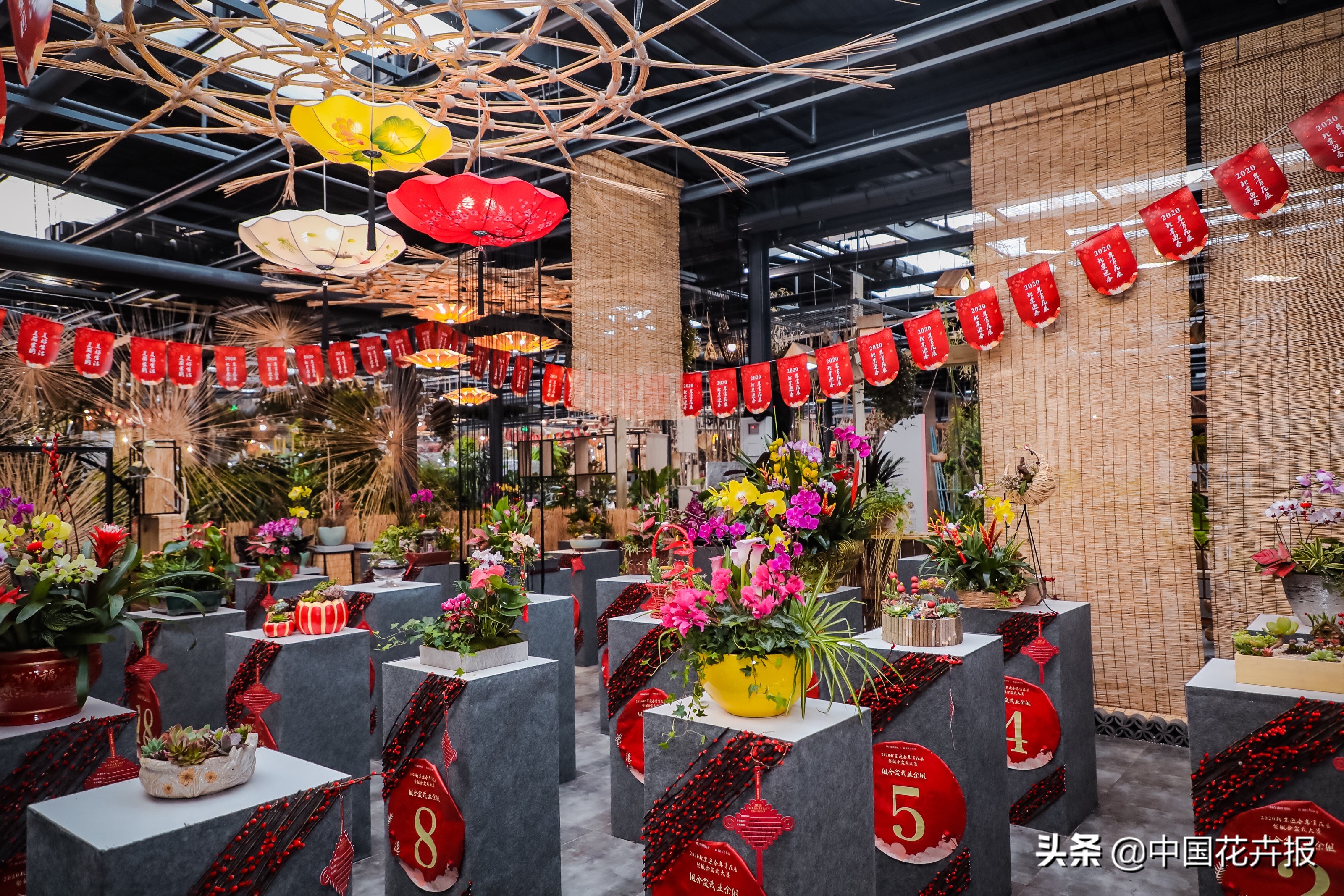 北京迎春花展,北京春季花展时间表