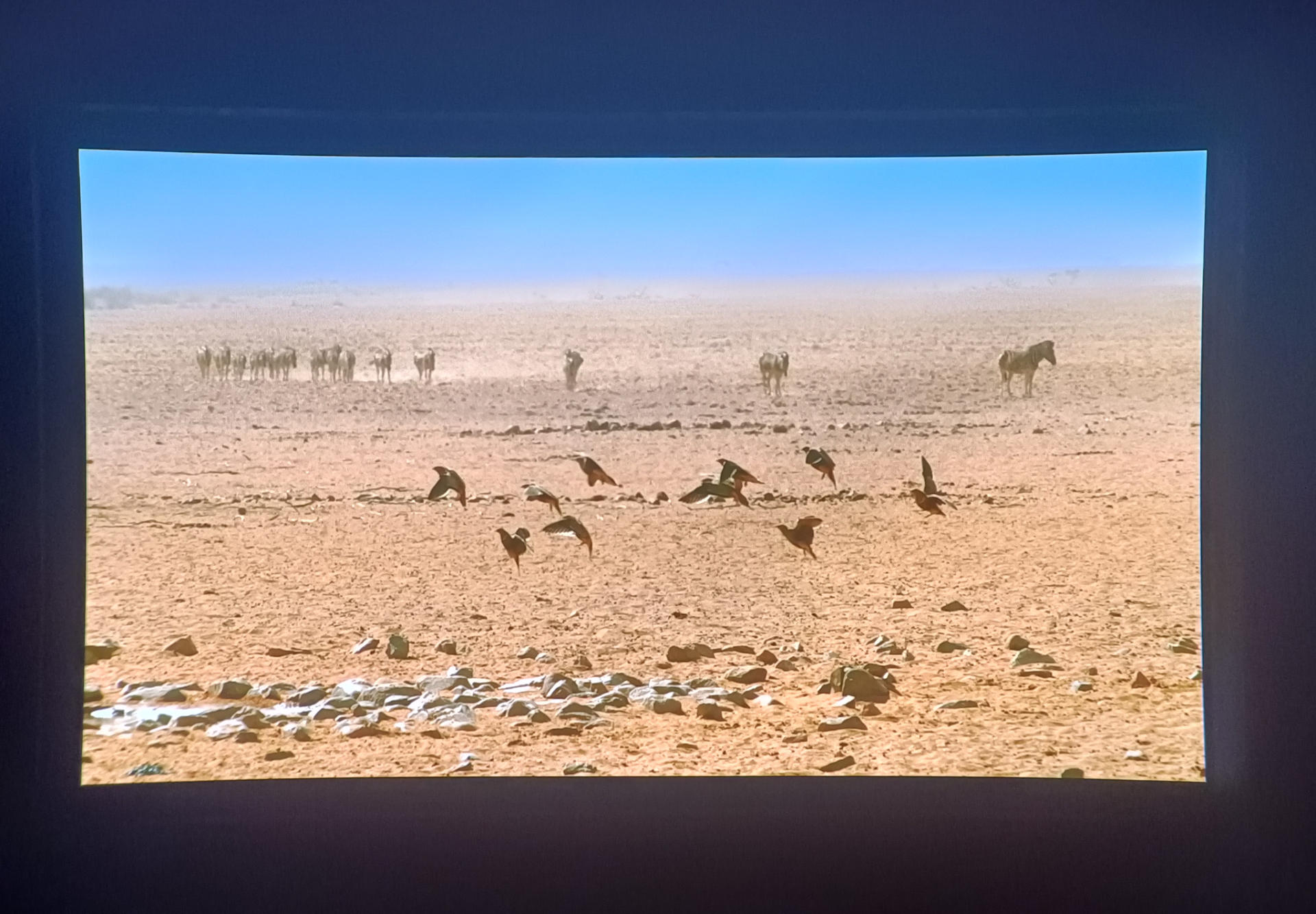 观影神器哪个最好用,最好用的观影神器推荐