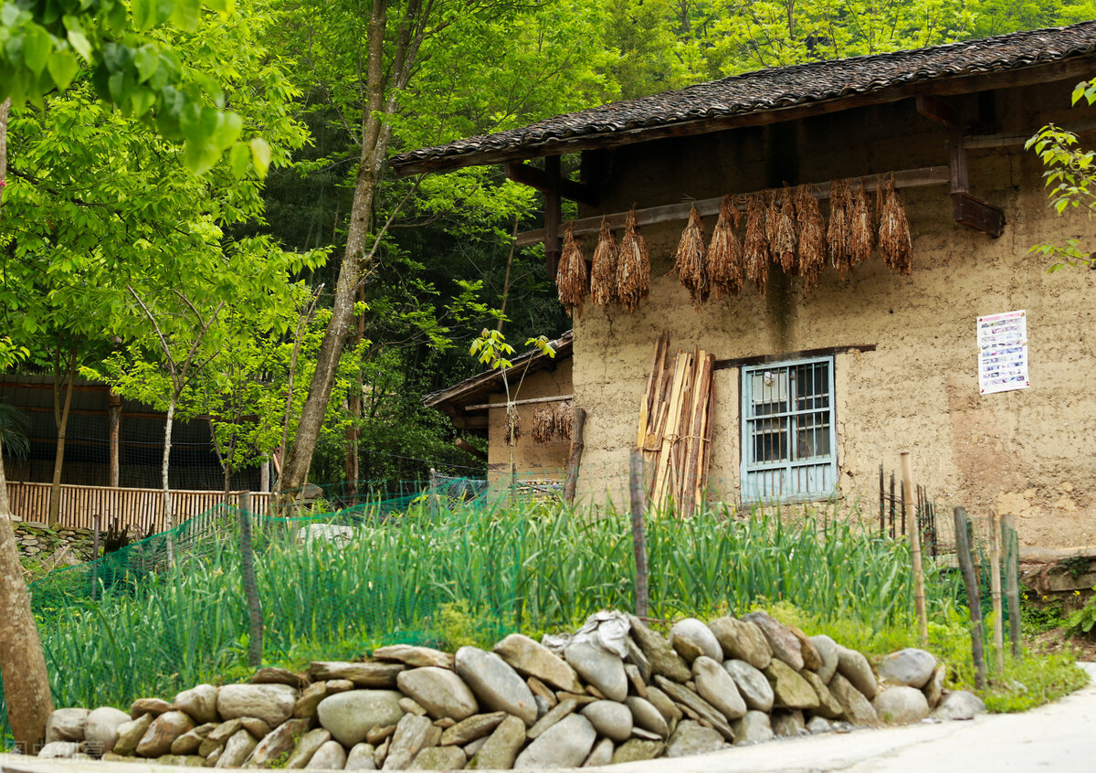 一个悍匪的故事,娶个悍妇做老婆的故事