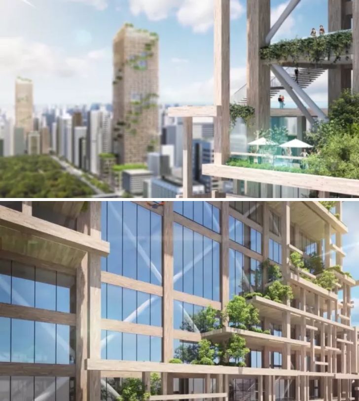 日本最高的木结构建筑,世界最高木结构建筑