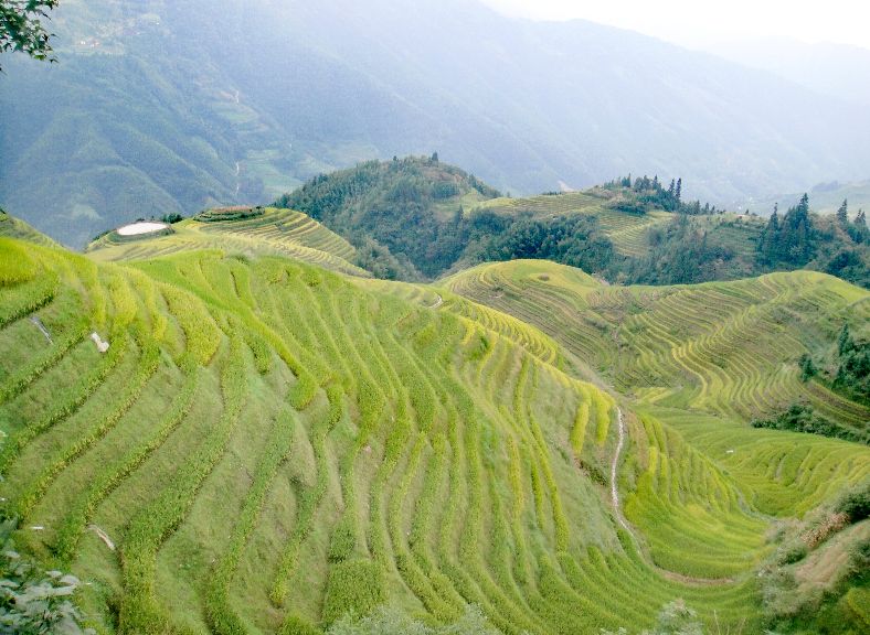 龙脊梯田七星伴月是什么意思,龙脊梯田七星伴月