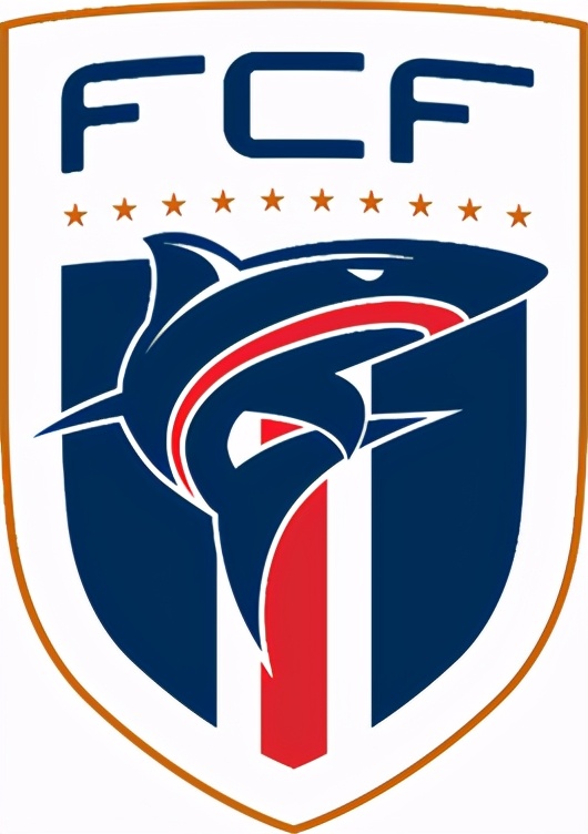 世界各足协标识(四):非洲