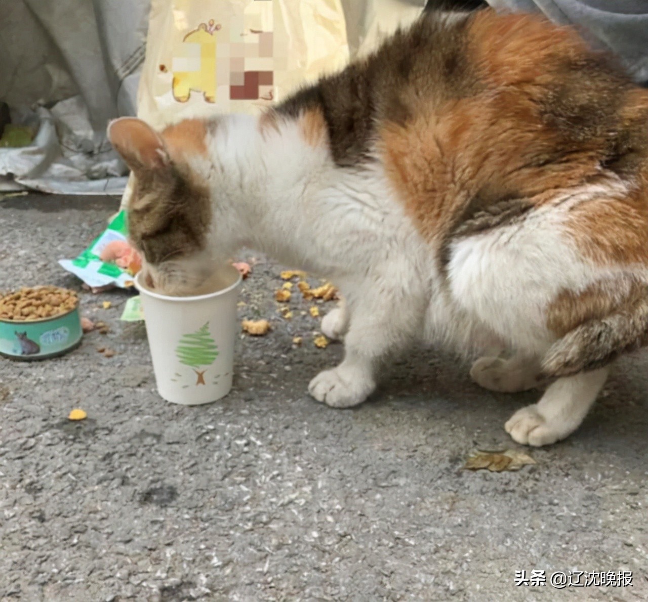 「辽沈帮帮帮」怀疑代购群里买到假货，群主却把群解散了