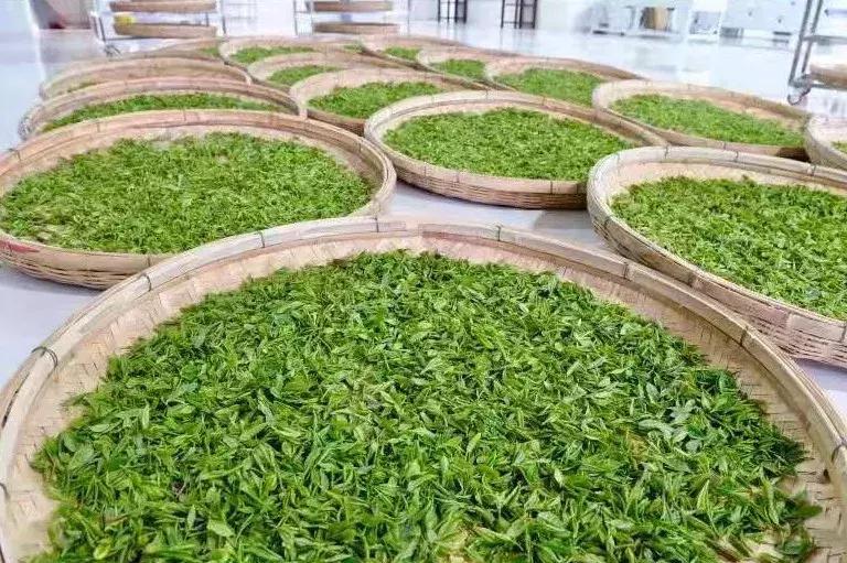 前方高能预警,前方高能预警有多高能