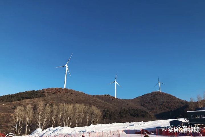 在东北吃饭是一种什么体验,跟东北人吃饭是什么体验