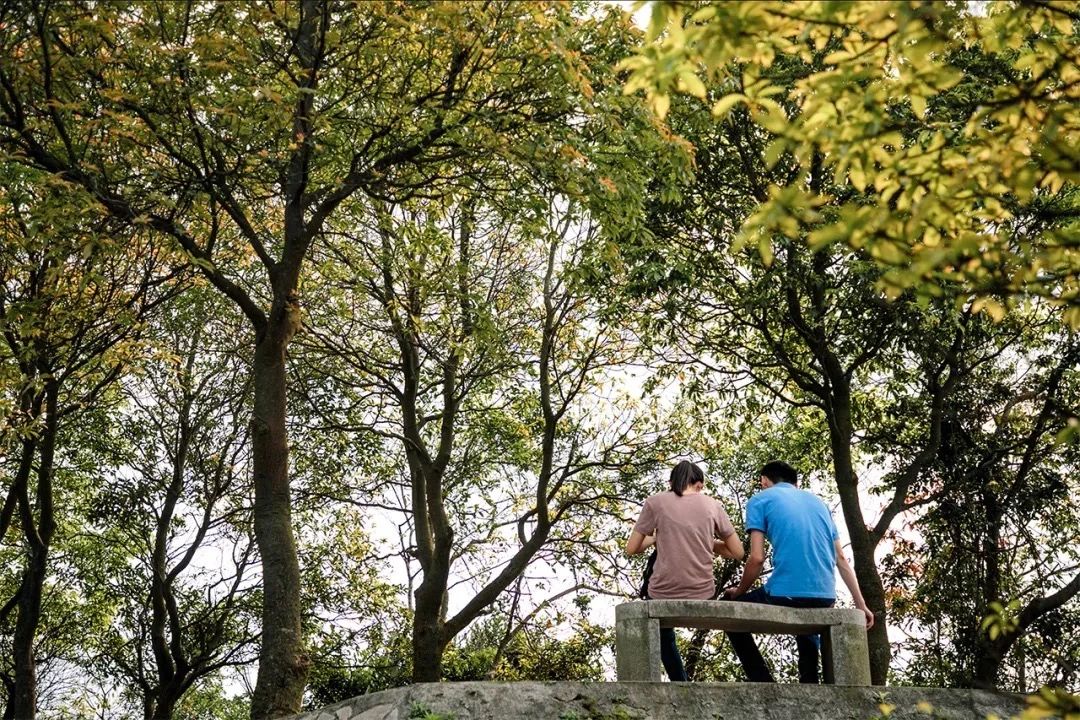 放假在深圳能去哪里玩,放假了可以去深圳的哪些地方玩