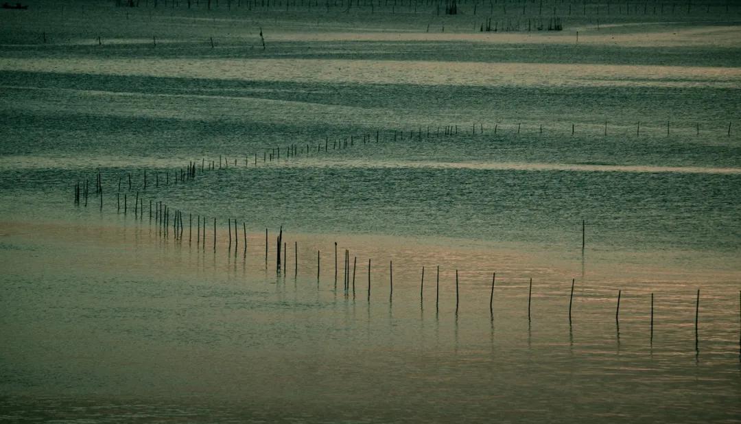 津门网向杰：盈滨半岛夕阳红