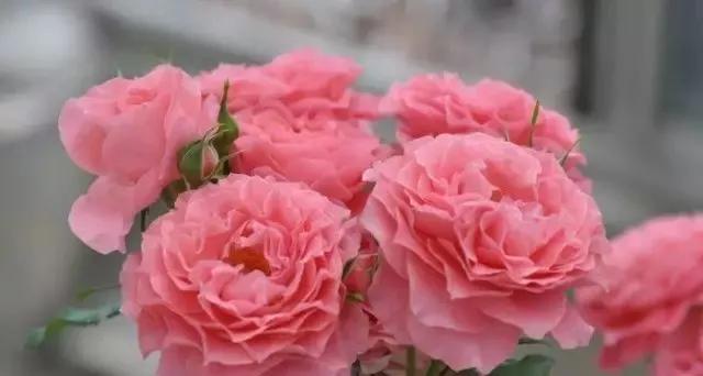 每天学习一点点女性小常识,每天学习一点点科普一下