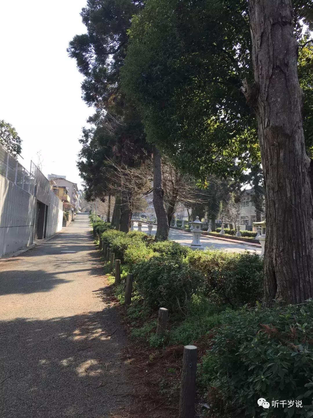 日本东京熊本熊,日本熊本游