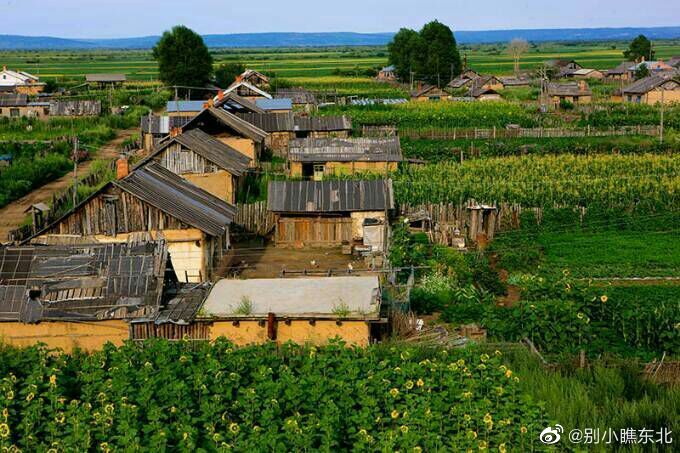 黑龙江省漠河度假避暑胜地,黑龙江漠河旅游风景区夏天多少度
