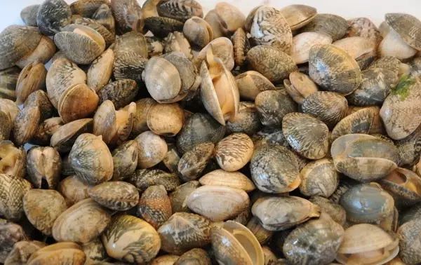 醴陵市海鲜收藏排行榜,海鲜礼盒收藏价格表图