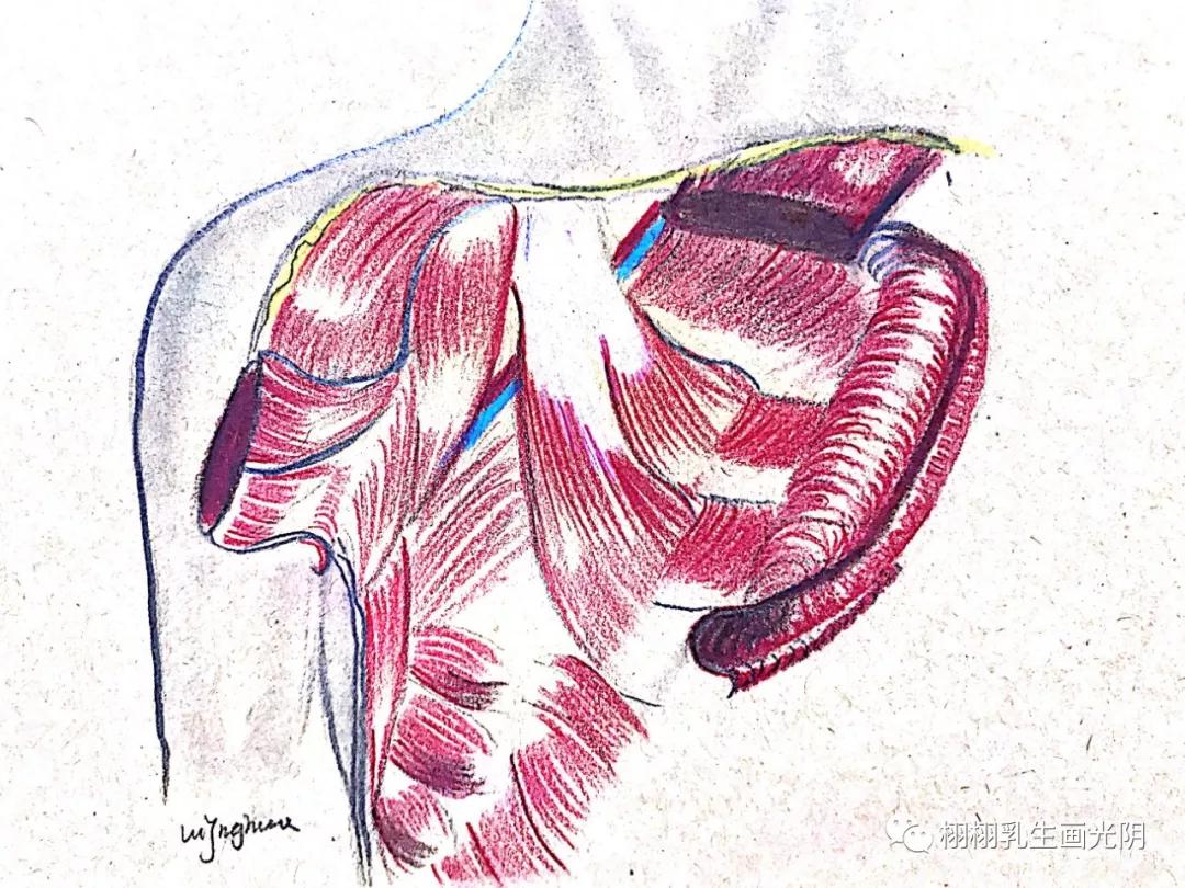 最贵的房子内部图片,最贵的房子内部