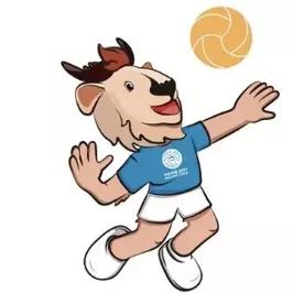 全运冠军回家,全运冠军凯旋回家