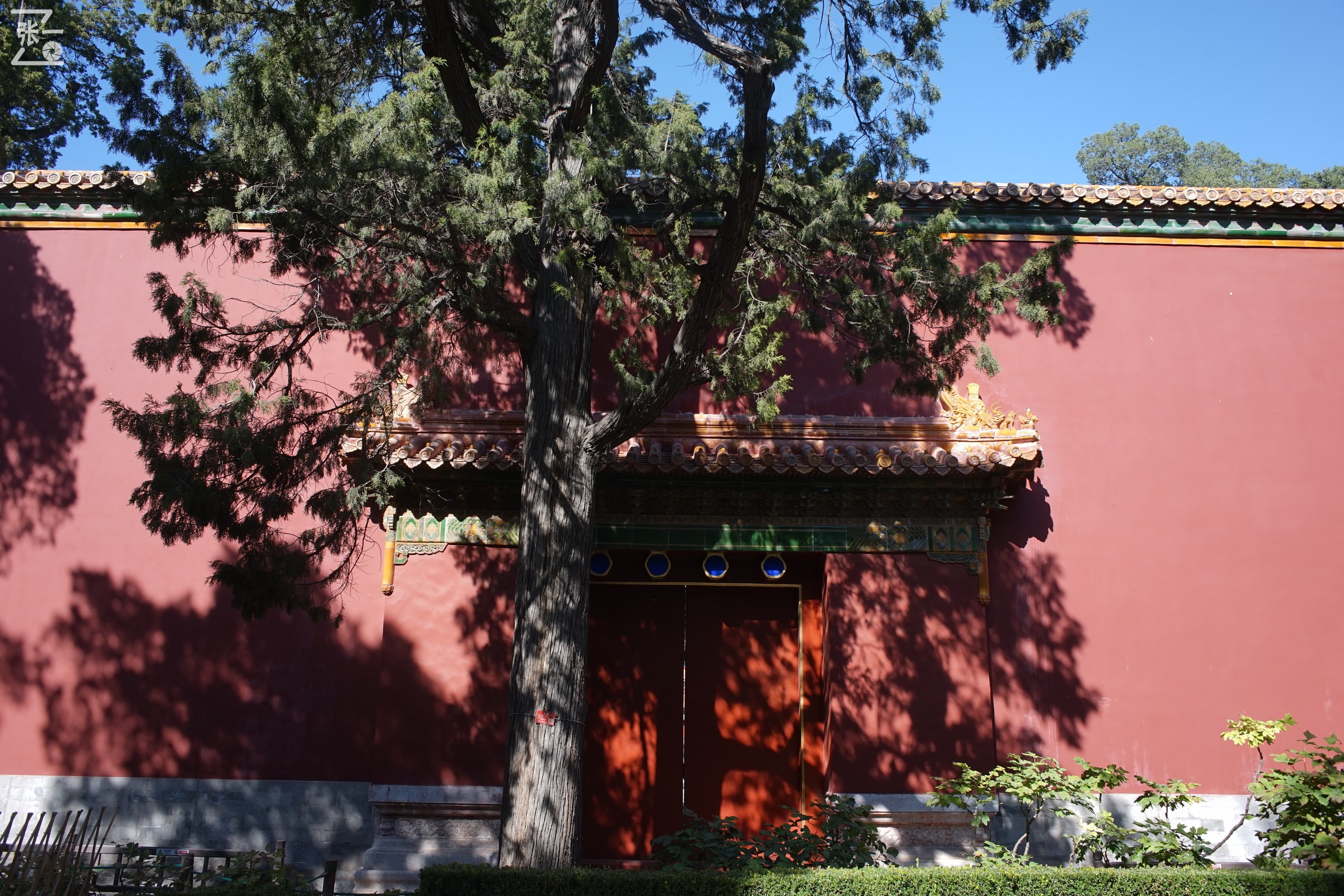 镜头测试：蔡司红T28/2.8+索尼微单A7实拍北京景山公园