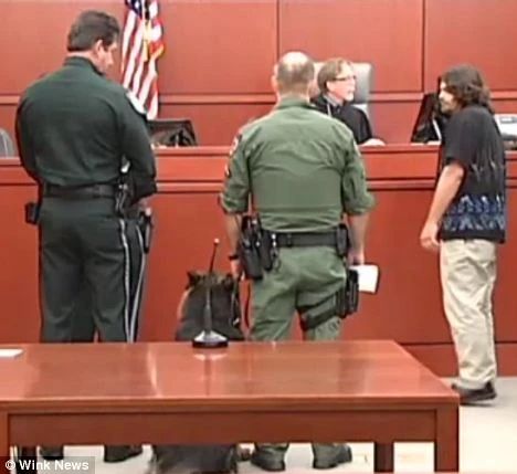 狗子出庭作证、鹦鹉指认凶手，动物的“鬼话”比“人话”更可信？