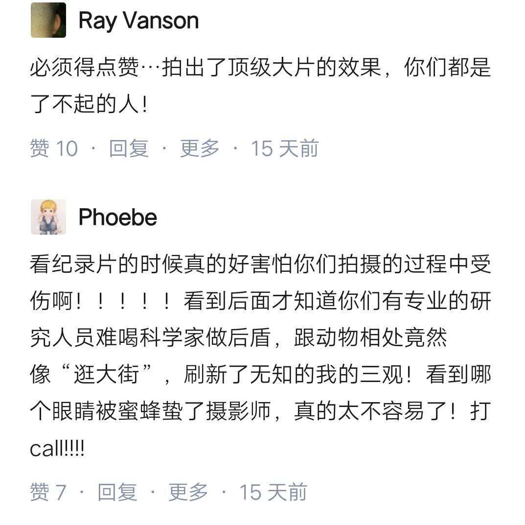 bbc纪录片真正权力的游戏,纪录片王朝权力的游戏