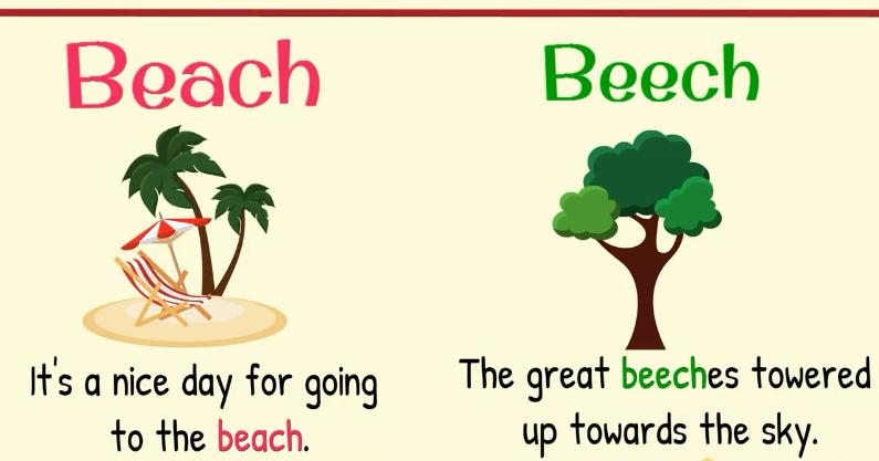 英语的同音异义词是什么意思,英语同音同形异义词概念