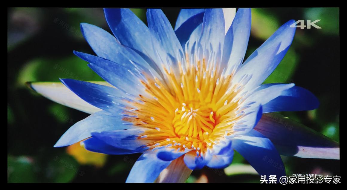 优派px748-4k投影仪家用投影机,优派px727投影测评