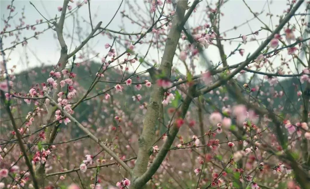 下一站联合电子,下一站同行