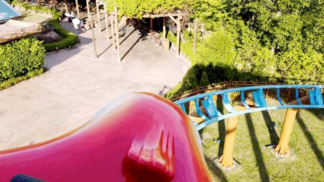 一天珠海长隆最全游玩攻略,最新的珠海长隆游玩攻略