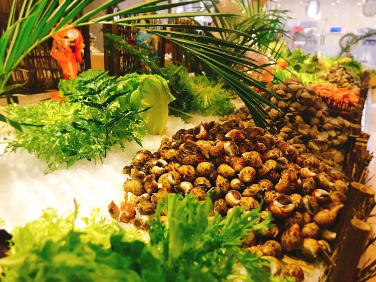 成都洞穴温泉哪里好,成都温泉汤乐汇