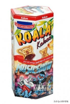 树袋熊和考拉有什么区别 (树袋熊和考拉有什么关系)