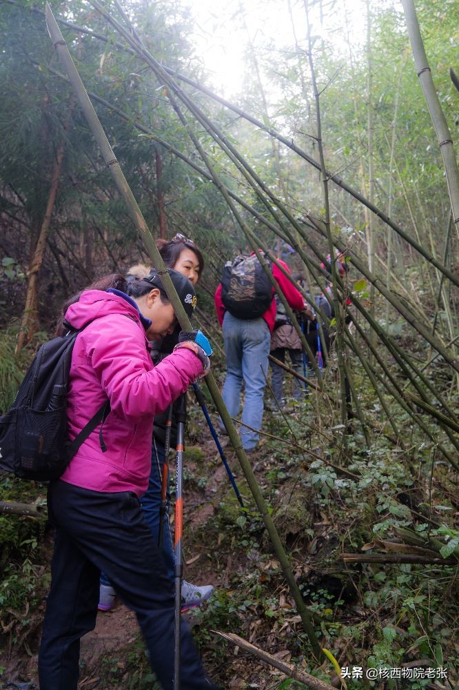卭崃金山村徒步穿越，“天下第一保”藏在深山鲜为人知