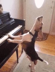 上厕所没有厕纸只能用绳子,上厕所没有卫生纸能用吗