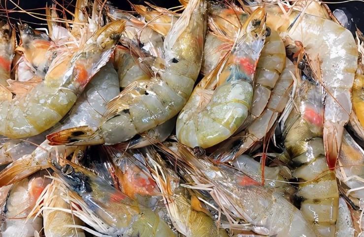 冰鲜虾和活虾的区别,买冰鲜虾应该怎么挑选