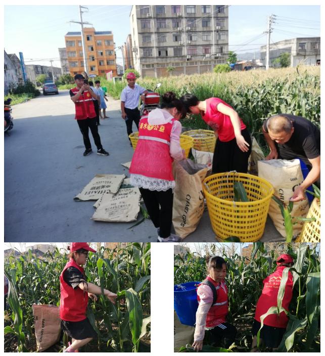 小岗村大包干爱国事迹,小岗村带头人爱国事迹