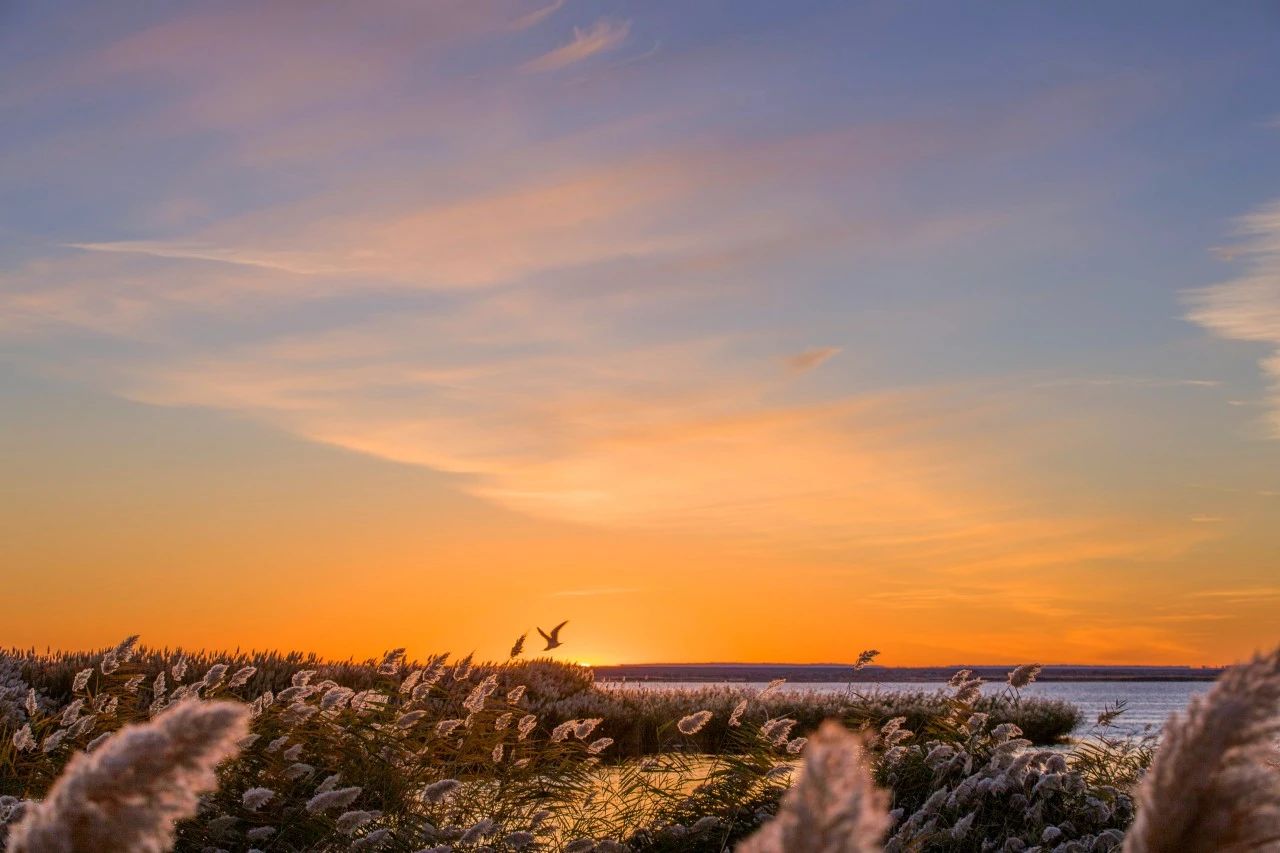 史上最狂的10首诗词，气贯长虹，读来心潮澎湃