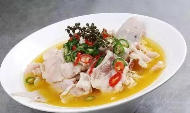 长江白鲟世界最大淡水鱼,中华鲟娃娃鱼