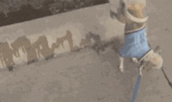 为什么吐舌,宝宝总是吐舌头什么原因