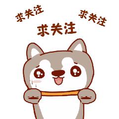 他们应该被称为“导游师”