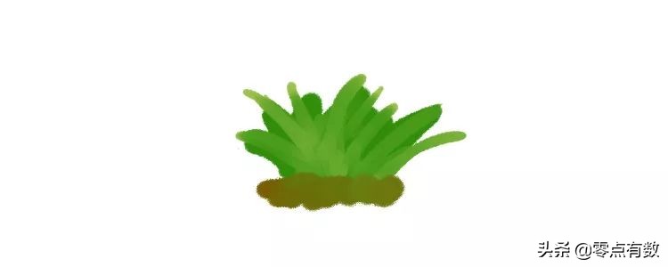 呼和浩特奶萌兽：足球摔跤样样行，体育课代表非它莫属！