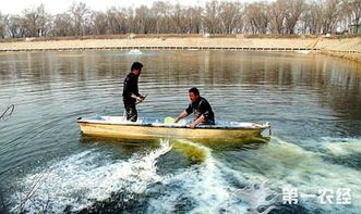 养鱼调水教学视频,小鱼塘养鱼怎样调水