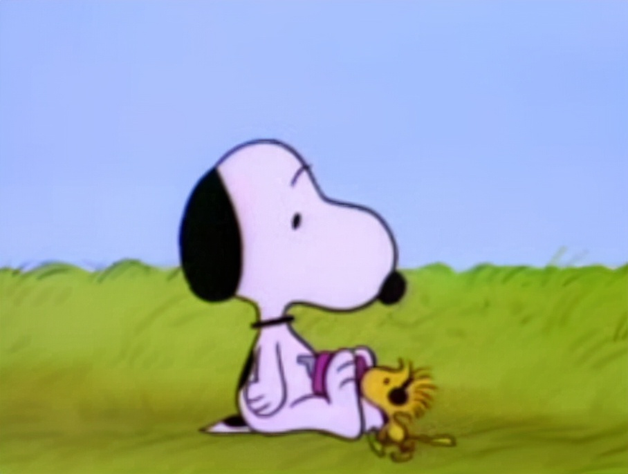 1980到2018年的全部动画,1999年的欧美动画