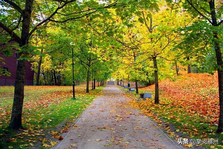那些在学校的美好时光,回忆校园的那些时光