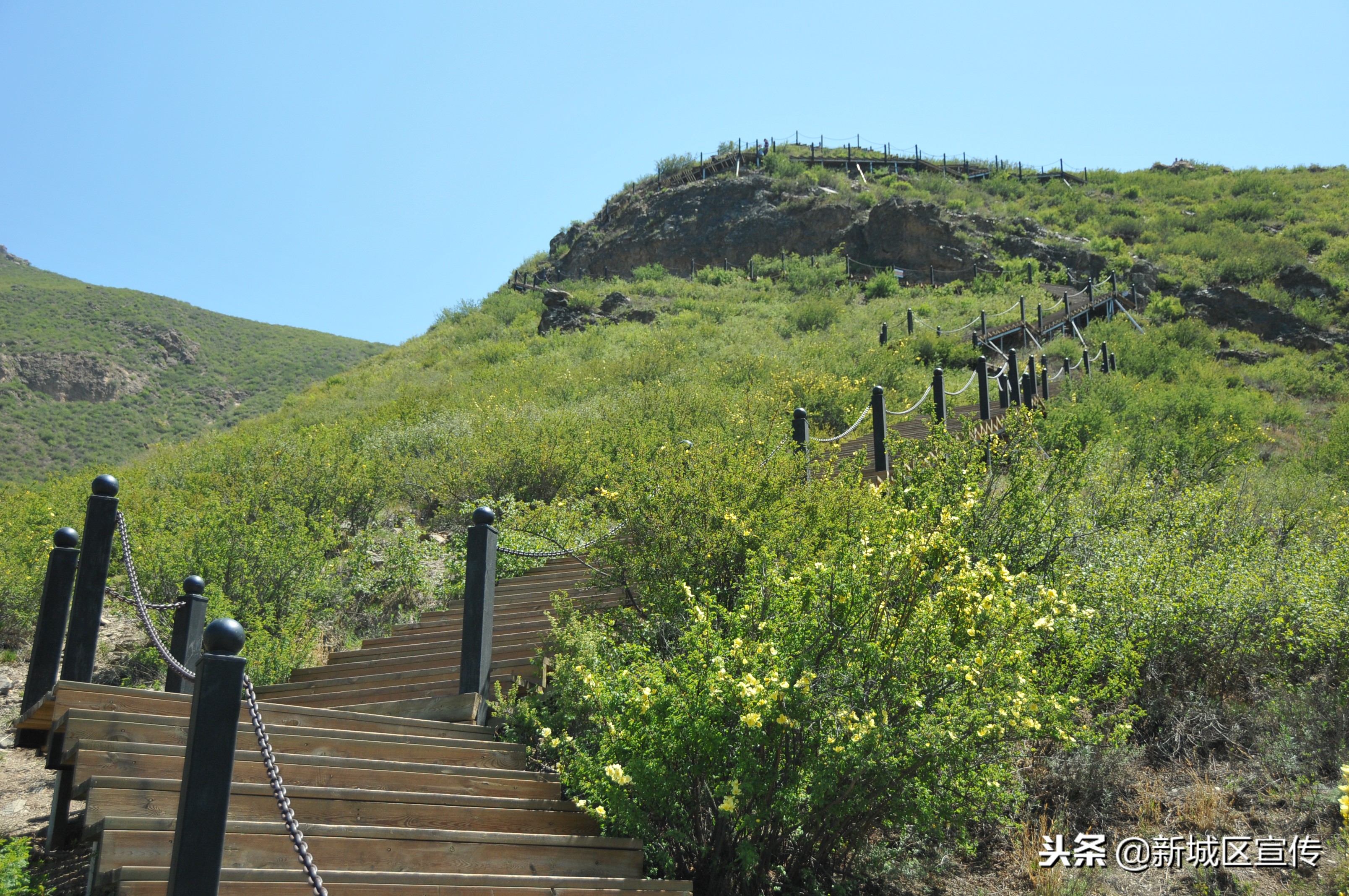 城市新中心全民健身项目,广德市新城区全民健身中心