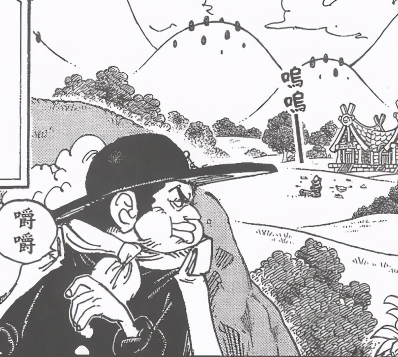 剧情分析海贼王,海贼王剧情解析最新