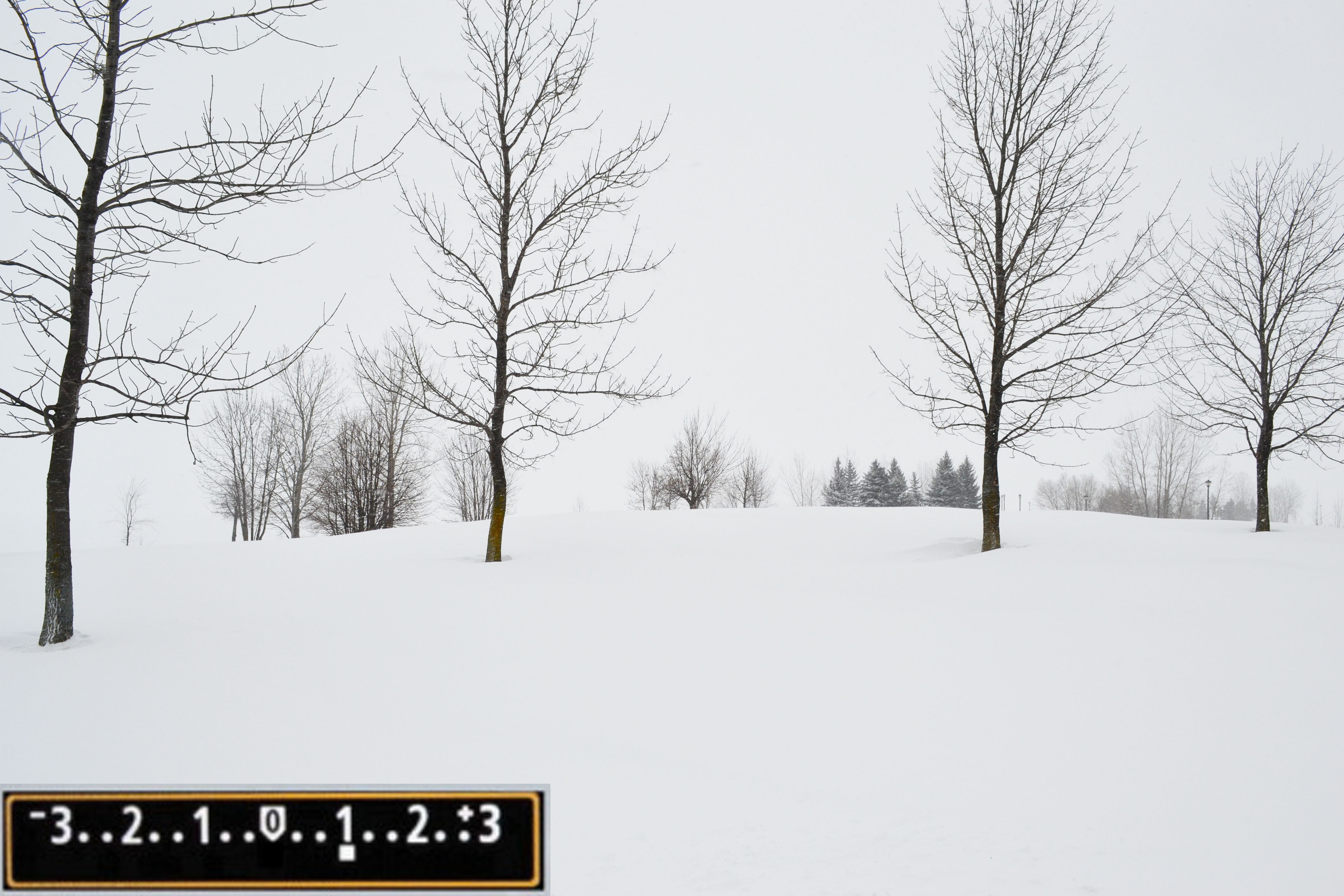拍雪为什么要白加黑减,拍雪景怎么摆姿势黑夜