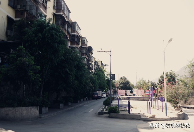 船厂生活区小区,攀枝花渡口船厂小区简介