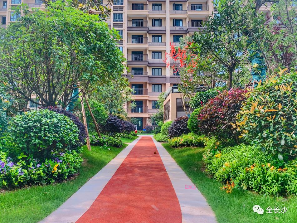 长沙的房价真的十年没涨么,长沙房地产政策最新消息